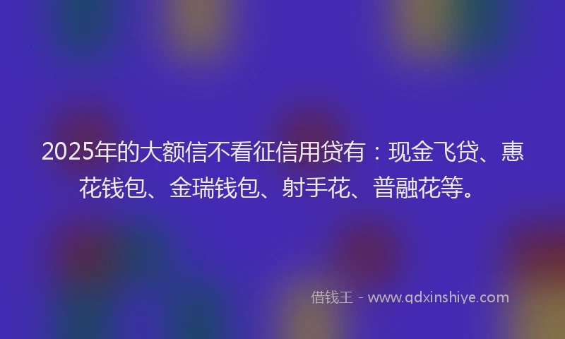 2025年的大额信不看征信用贷有：现金飞贷、惠花钱包、金瑞钱包、射手花、普融花等。