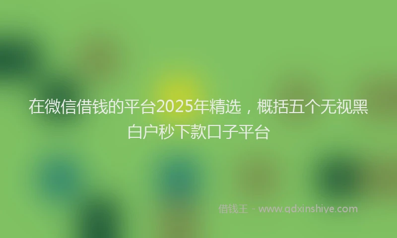 在微信借钱的平台2025年精选，概括五个无视黑白户秒下款口子平台
