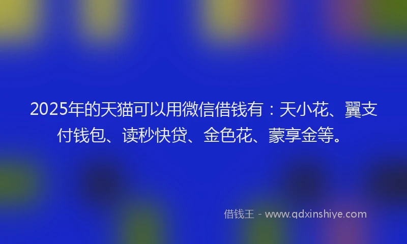 2025年的天猫可以用微信借钱有：天小花、翼支付钱包、读秒快贷、金色花、蒙享金等。