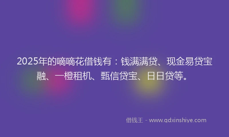 2025年的嘀嘀花借钱有：钱满满贷、现金易贷宝融、一橙租机、甄信贷宝、日日贷等。