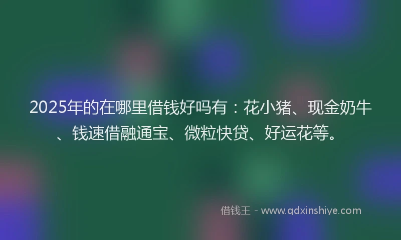 2025年的在哪里借钱好吗有：花小猪、现金奶牛、钱速借融通宝、微粒快贷、好运花等。