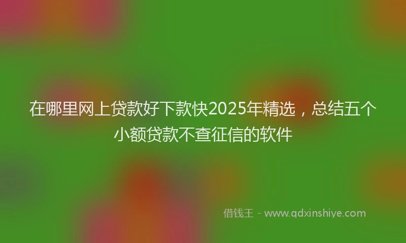 在哪里网上贷款好下款快2025年精选，总结五个小额贷款不查征信的软件