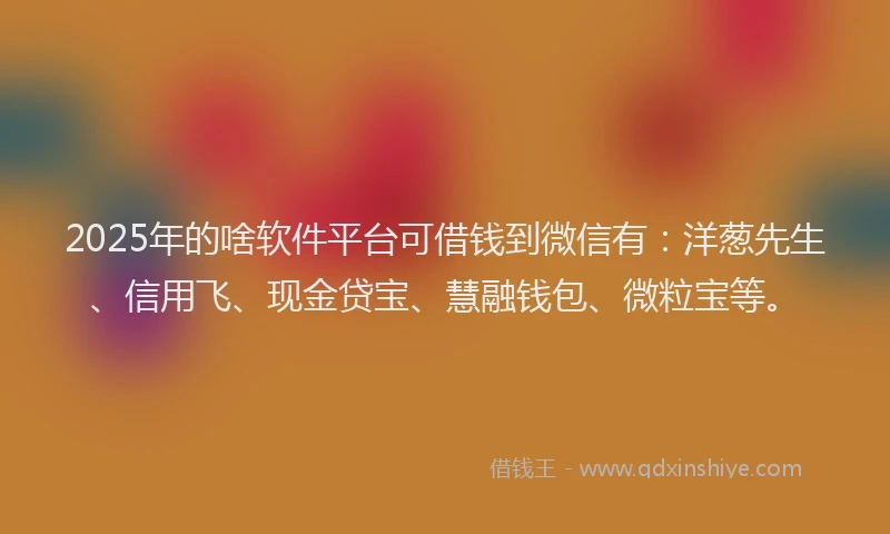 2025年的啥软件平台可借钱到微信有：洋葱先生、信用飞、现金贷宝、慧融钱包、微粒宝等。