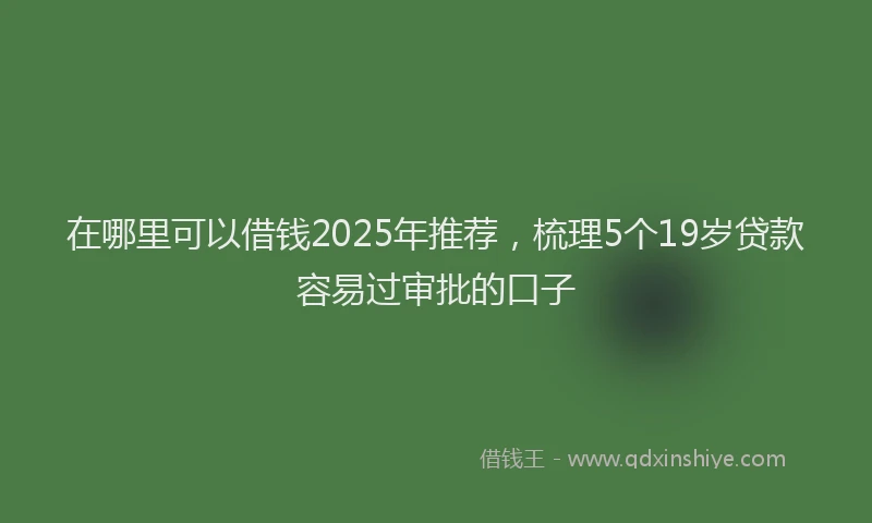 在哪里可以借钱2025年推荐，梳理5个19岁贷款容易过审批的口子
