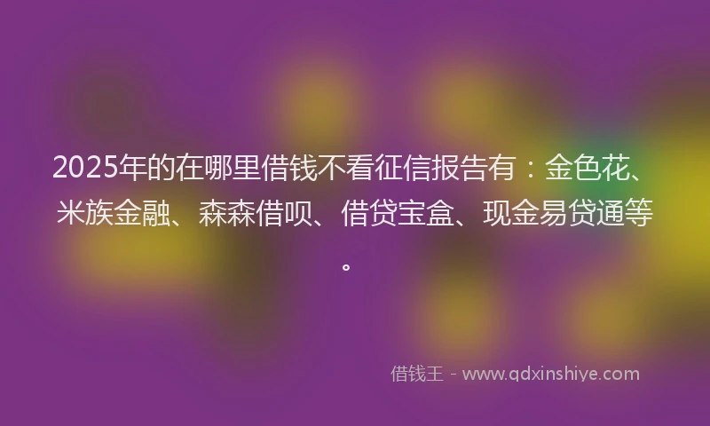 2025年的在哪里借钱不看征信报告有：金色花、米族金融、森森借呗、借贷宝盒、现金易贷通等。