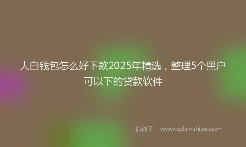 大白钱包怎么好下款2025年精选，整理5个黑户可以下的贷款软件