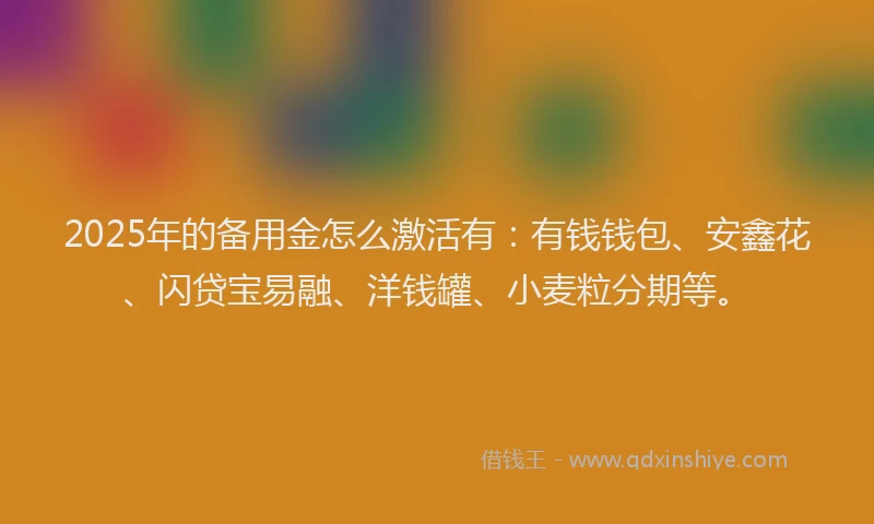 2025年的备用金怎么激活有：有钱钱包、安鑫花、闪贷宝易融、洋钱罐、小麦粒分期等。