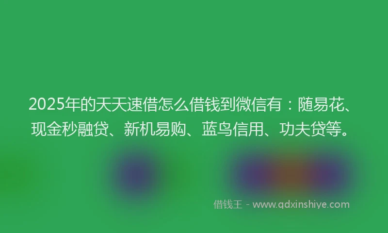 2025年的天天速借怎么借钱到微信有：随易花、现金秒融贷、新机易购、蓝鸟信用、功夫贷等。