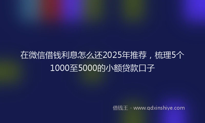在微信借钱利息怎么还2025年推荐，梳理5个1000至5000的小额贷款口子