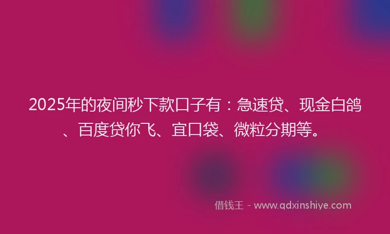 2025年的夜间秒下款口子有：急速贷、现金白鸽、百度贷你飞、宜口袋、微粒分期等。