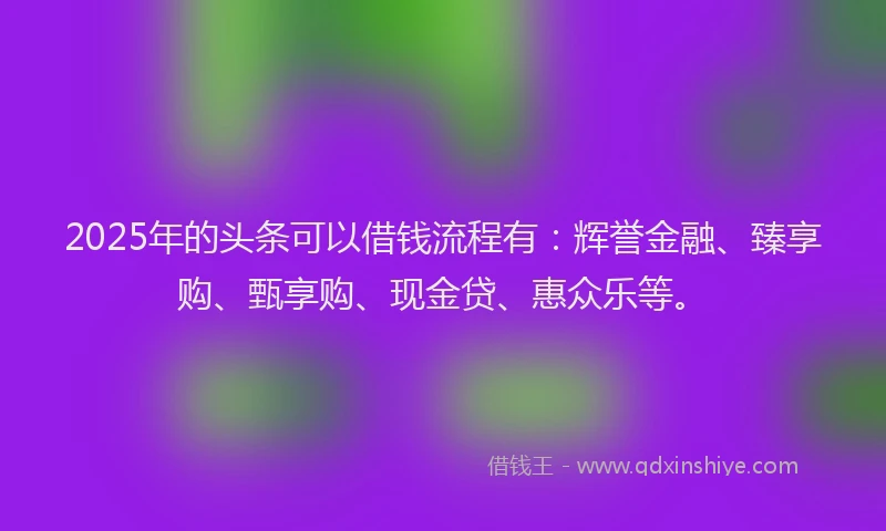 2025年的头条可以借钱流程有：辉誉金融、臻享购、甄享购、现金贷、惠众乐等。