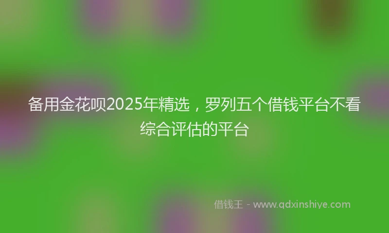 备用金花呗2025年精选，罗列五个借钱平台不看综合评估的平台