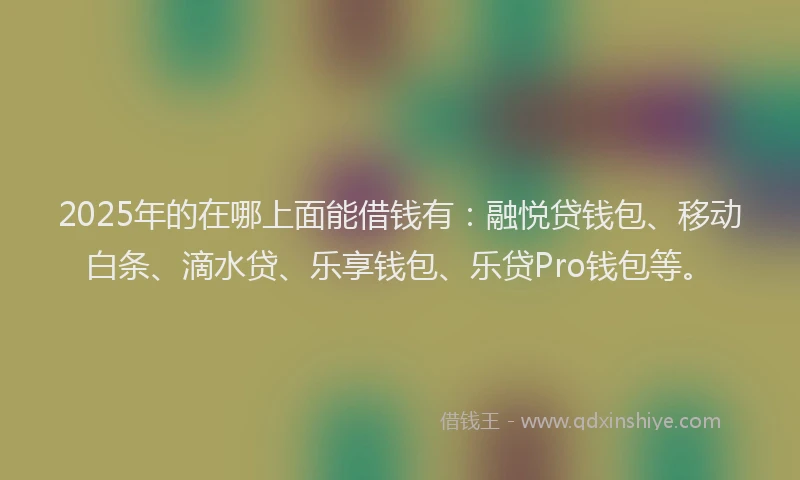 2025年的在哪上面能借钱有：融悦贷钱包、移动白条、滴水贷、乐享钱包、乐贷Pro钱包等。