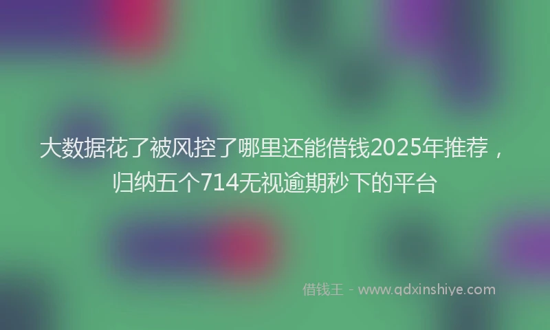 大数据花了被风控了哪里还能借钱2025年推荐，归纳五个714无视逾期秒下的平台