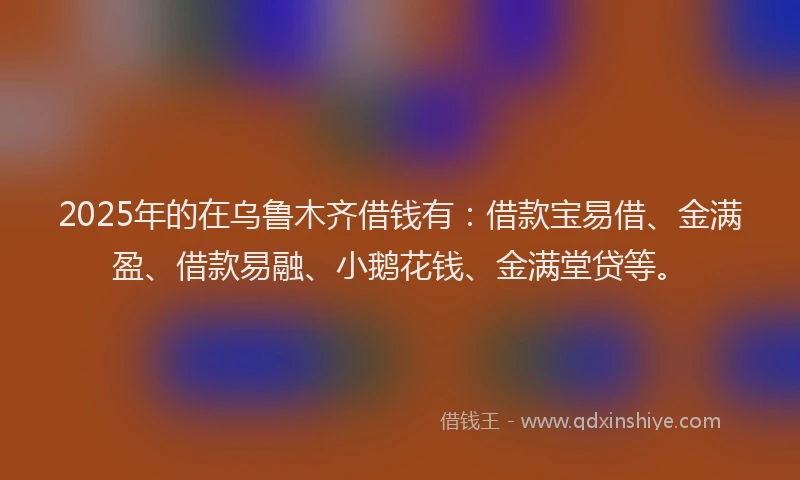 2025年的在乌鲁木齐借钱有：借款宝易借、金满盈、借款易融、小鹅花钱、金满堂贷等。