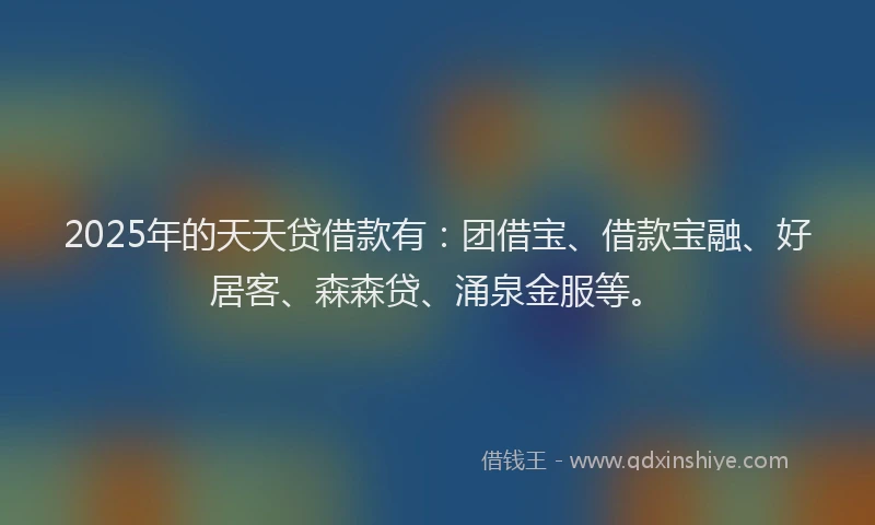 2025年的天天贷借款有：团借宝、借款宝融、好居客、森森贷、涌泉金服等。