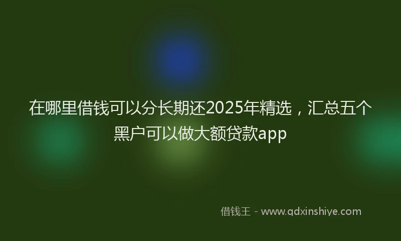 在哪里借钱可以分长期还2025年精选，汇总五个黑户可以做大额贷款app