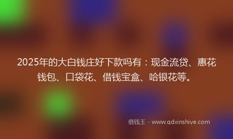 2025年的大白钱庄好下款吗有：现金流贷、惠花钱包、口袋花、借钱宝盒、哈银花等。