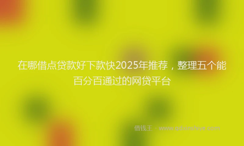 在哪借点贷款好下款快2025年推荐，整理五个能百分百通过的网贷平台
