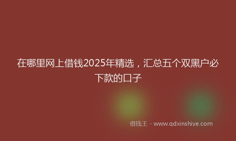 在哪里网上借钱2025年精选，汇总五个双黑户必下款的口子
