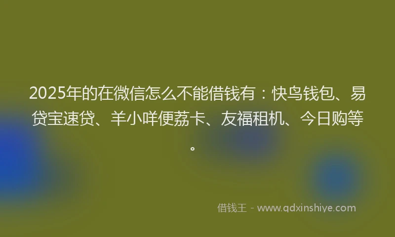 2025年的在微信怎么不能借钱有:快鸟钱包、易贷宝速贷、羊小咩便荔卡、友福租机、今日购等。