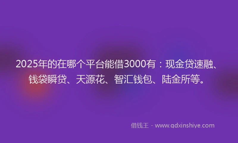 2025年的在哪个平台能借3000有：现金贷速融、钱袋瞬贷、天源花、智汇钱包、陆金所等。