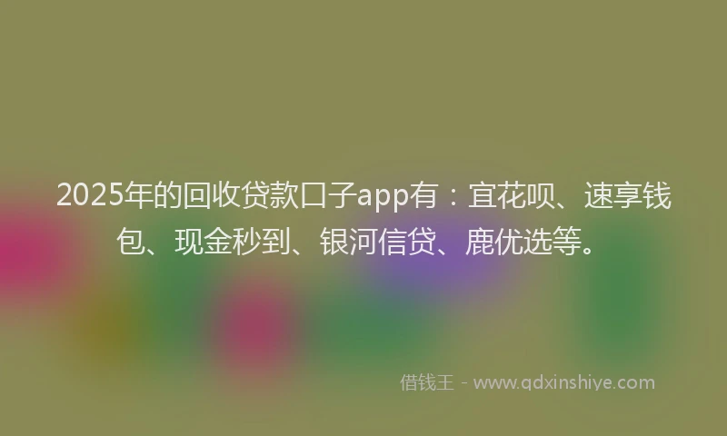2025年的回收贷款口子app有：宜花呗、速享钱包、现金秒到、银河信贷、鹿优选等。