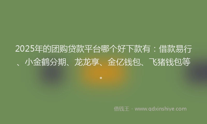 2025年的团购贷款平台哪个好下款有：借款易行、小金鹤分期、龙龙享、金亿钱包、飞猪钱包等。