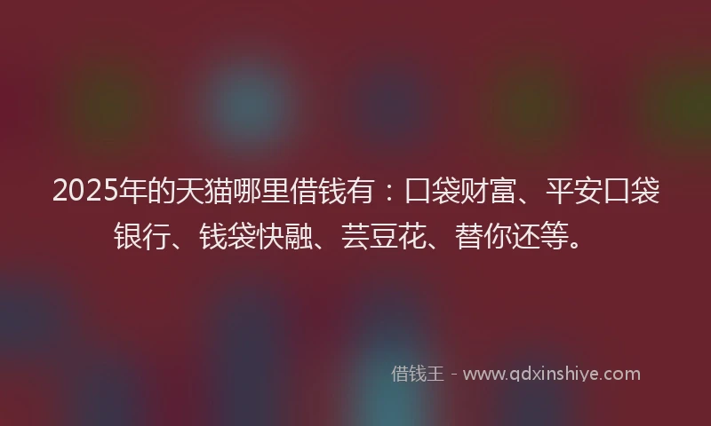 2025年的天猫哪里借钱有：口袋财富、平安口袋银行、钱袋快融、芸豆花、替你还等。
