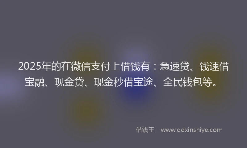 2025年的在微信支付上借钱有：急速贷、钱速借宝融、现金贷、现金秒借宝途、全民钱包等。