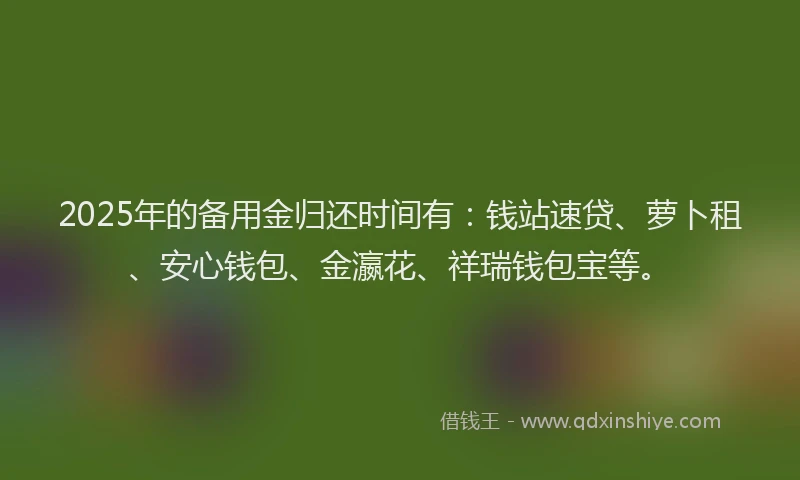 2025年的备用金归还时间有：钱站速贷、萝卜租、安心钱包、金瀛花、祥瑞钱包宝等。