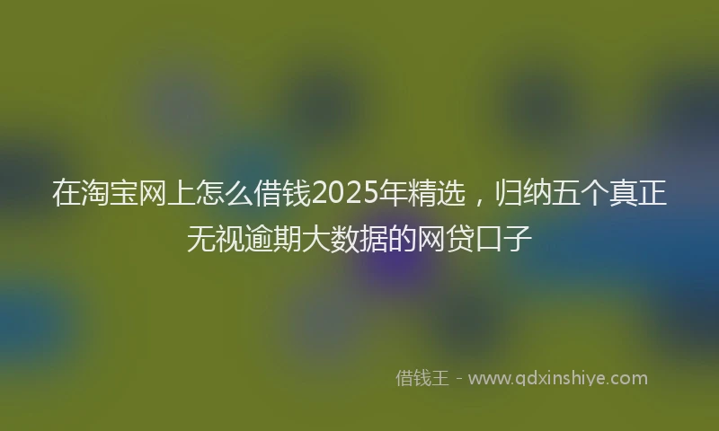 在淘宝网上怎么借钱2025年精选，归纳五个真正无视逾期大数据的网贷口子