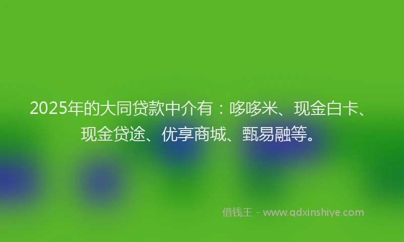 2025年的大同贷款中介有：哆哆米、现金白卡、现金贷途、优享商城、甄易融等。