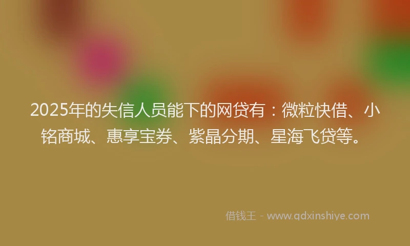 2025年的失信人员能下的网贷有：微粒快借、小铭商城、惠享宝券、紫晶分期、星海飞贷等。