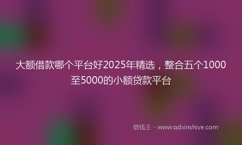 大额借款哪个平台好2025年精选，整合五个1000至5000的小额贷款平台