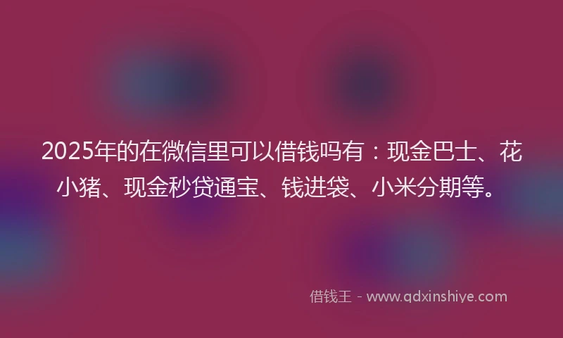 2025年的在微信里可以借钱吗有：现金巴士、花小猪、现金秒贷通宝、钱进袋、小米分期等。