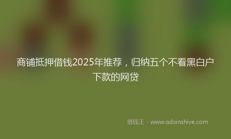 商铺抵押借钱2025年推荐，归纳五个不看黑白户下款的网贷