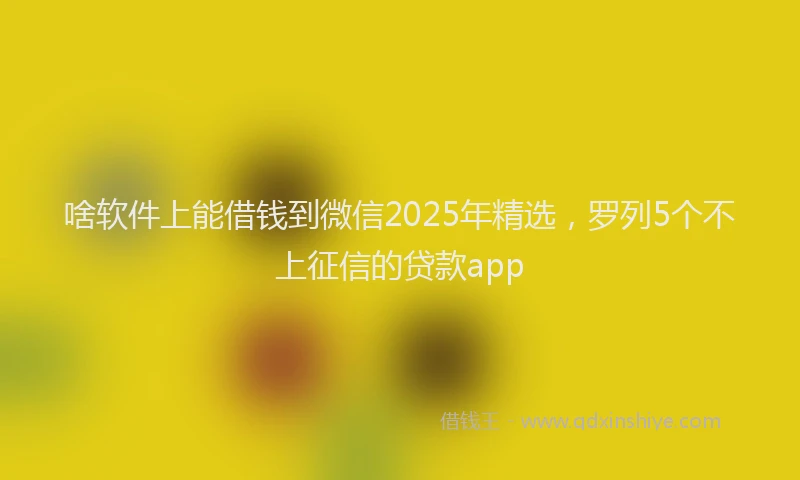 啥软件上能借钱到微信2025年精选，罗列5个不上征信的贷款app