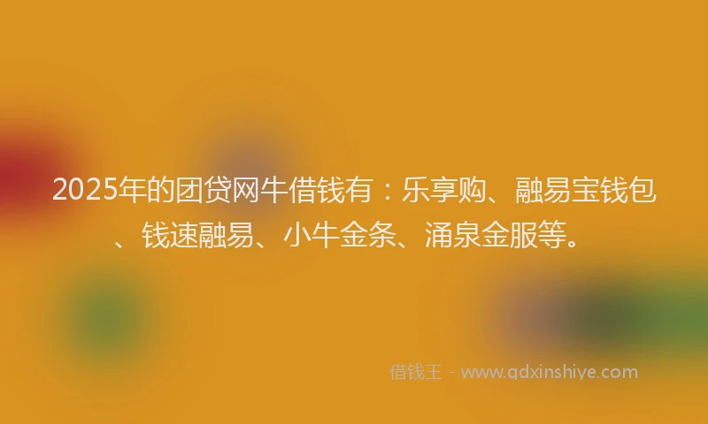 2025年的团贷网牛借钱有：乐享购、融易宝钱包、钱速融易、小牛金条、涌泉金服等。