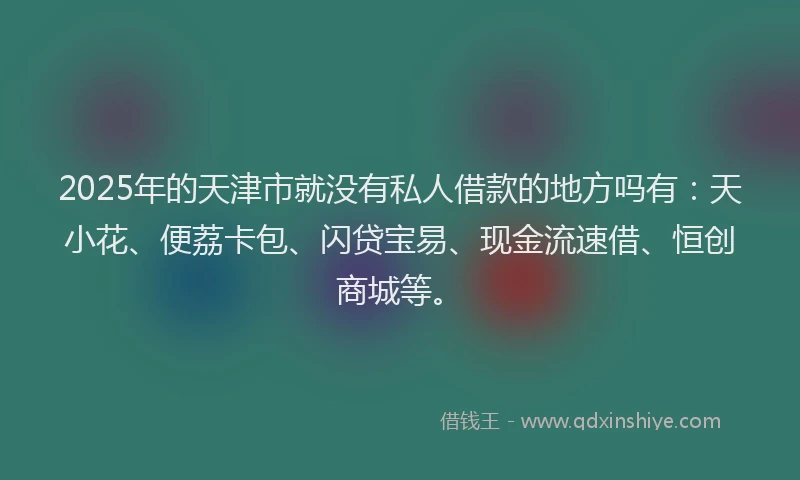 2025年的天津市就没有私人借款的地方吗有：天小花、便荔卡包、闪贷宝易、现金流速借、恒创商城等。