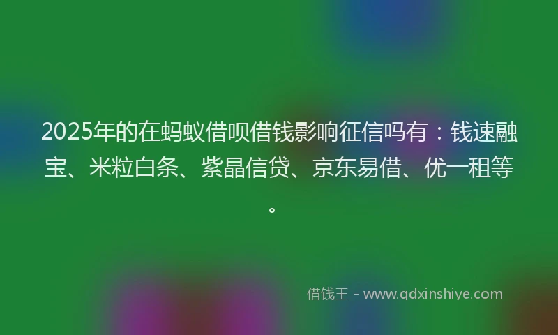 2025年的在蚂蚁借呗借钱影响征信吗有：钱速融宝、米粒白条、紫晶信贷、京东易借、优一租等。