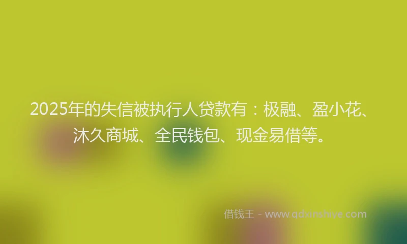 2025年的失信被执行人贷款有：极融、盈小花、沐久商城、全民钱包、现金易借等。