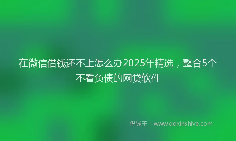 在微信借钱还不上怎么办2025年精选，整合5个不看负债的网贷软件
