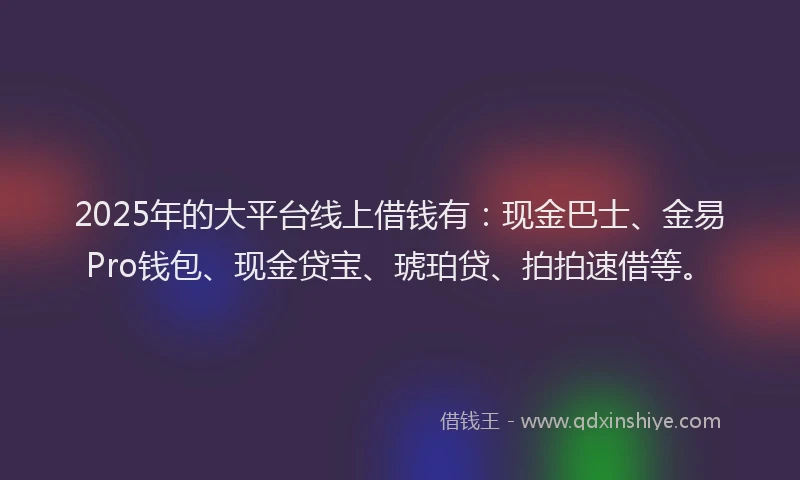 2025年的大平台线上借钱有：现金巴士、金易Pro钱包、现金贷宝、琥珀贷、拍拍速借等。