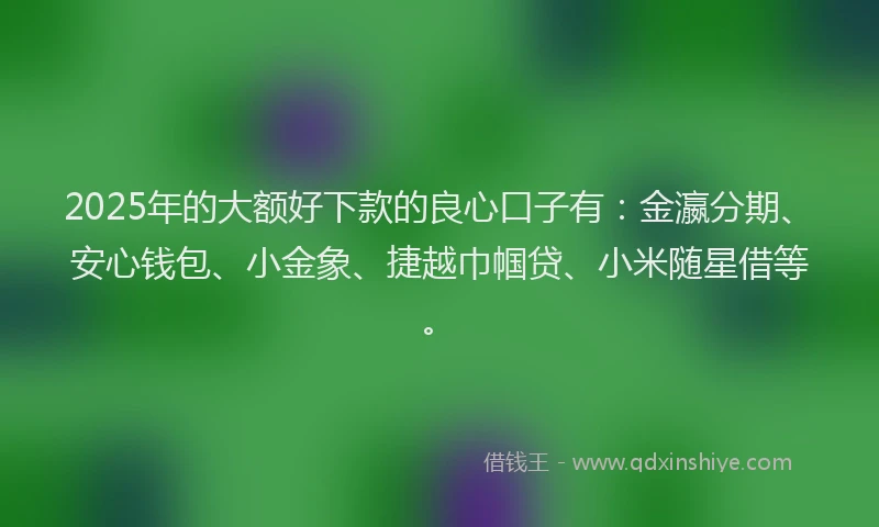 2025年的大额好下款的良心口子有：金瀛分期、安心钱包、小金象、捷越巾帼贷、小米随星借等。