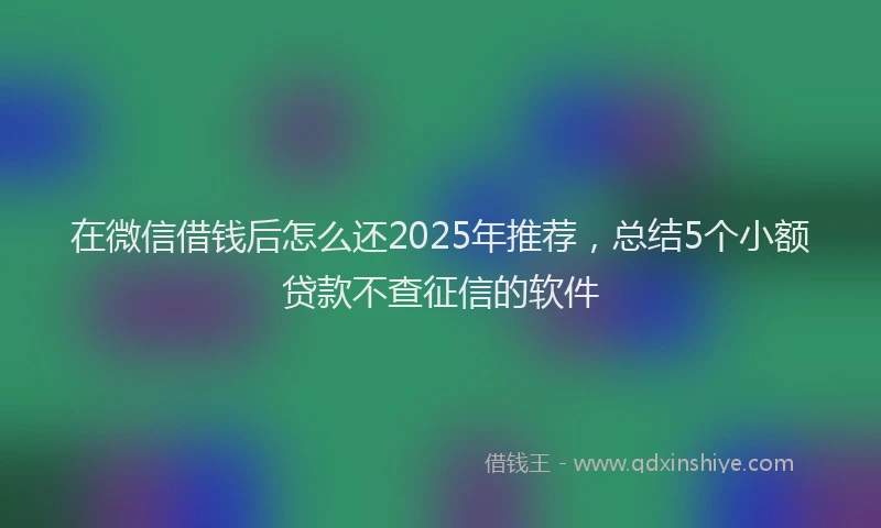 在微信借钱后怎么还2025年推荐，总结5个小额贷款不查征信的软件