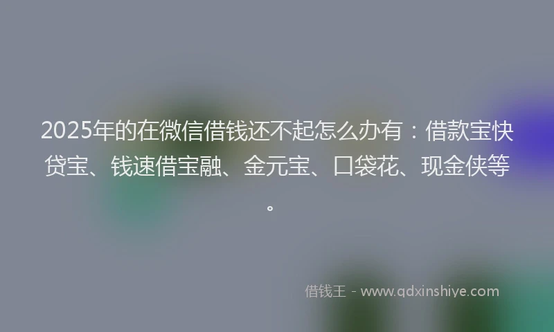2025年的在微信借钱还不起怎么办有：借款宝快贷宝、钱速借宝融、金元宝、口袋花、现金侠等。