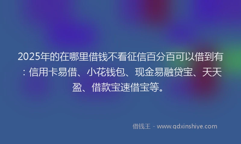 2025年的在哪里借钱不看征信百分百可以借到有：信用卡易借、小花钱包、现金易融贷宝、天天盈、借款宝速借宝等。