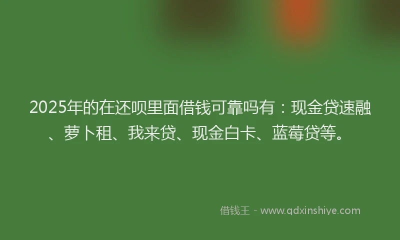 2025年的在还呗里面借钱可靠吗有：现金贷速融、萝卜租、我来贷、现金白卡、蓝莓贷等。