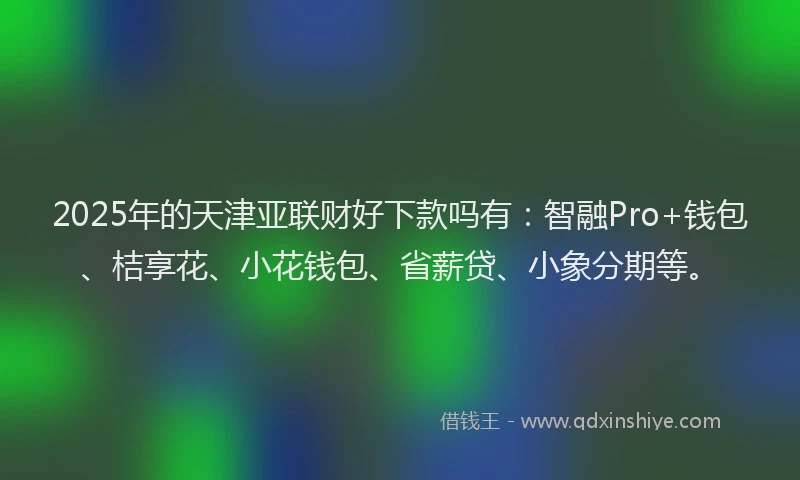2025年的天津亚联财好下款吗有：智融Pro+钱包、桔享花、小花钱包、省薪贷、小象分期等。